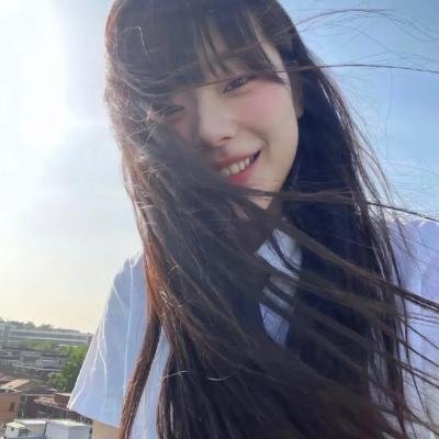 百鸟朝凤